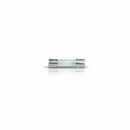 RadioShack 1.0A 250V 5x20mm Slow-Blow Glass Fuse (4-Pack)