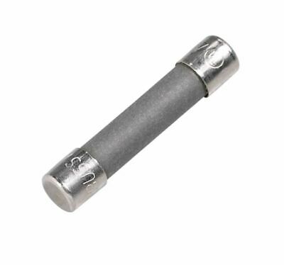 RadioShack 10A 250V Ceramic Fuse (4-Pack)