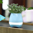 SimplyASP Tech Wireless Bluetooth Speaker Smart Music Playing Flowerpot (Pink/ Blue) - SimplyASP Tech