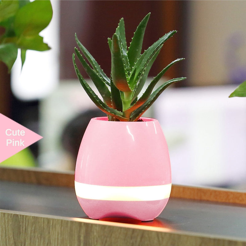 SimplyASP Tech Wireless Bluetooth Speaker Smart Music Playing Flowerpot (Pink/ Blue) - SimplyASP Tech