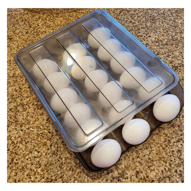 SimplyASP Tech UNIVERSAL 1 LAYER EGG STORAGE TRAY CLEAR Holds 18 Eggs