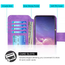 SAMSUNG GALAXY S10E LUXURY 2 SERIES FLIP WALLET CASE
