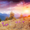 0.33MM ARCING TEMPERED GLASS SCREEN PROTECTOR FOR IPHONE 11 PROMAX/XSMAX